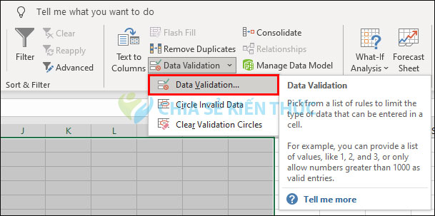 Data Validation Excel