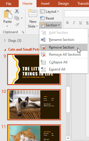 Loại bỏ section không mong muốn trên PowerPoint