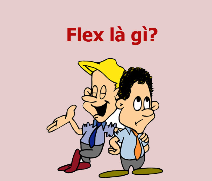 Flex là gì