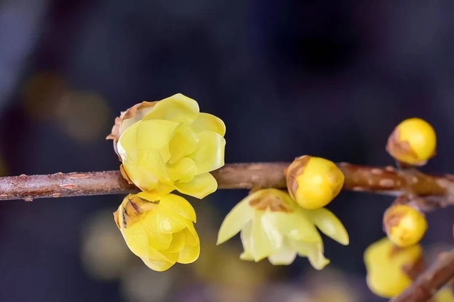 Cách ''trả thù'' tốt nhất với những kẻ vu khống, làm bạn tổn thương chính là 2 điều này