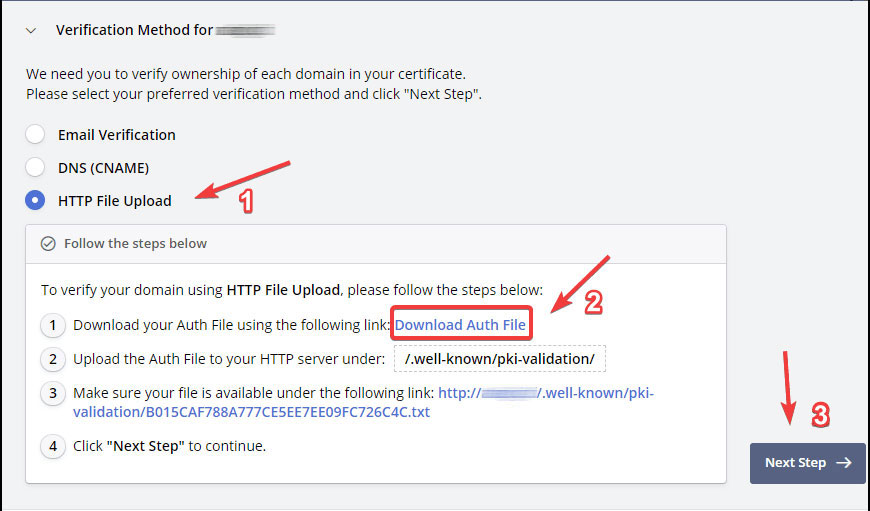 Hướng dẫn lấy chứng chỉ SSL ZeroSSL: Xác thực domain