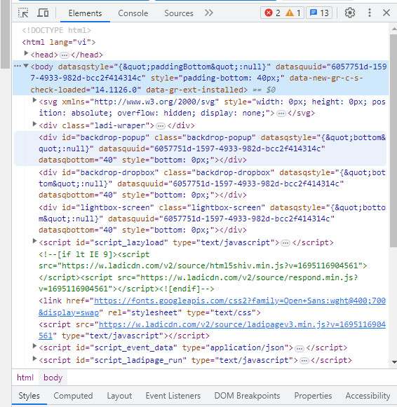 Browser DevTools