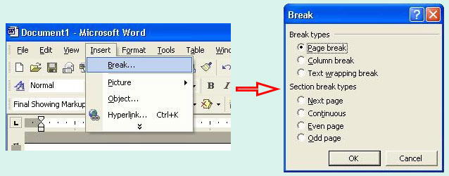 Cách tạo ngắt trang trong Word 2003