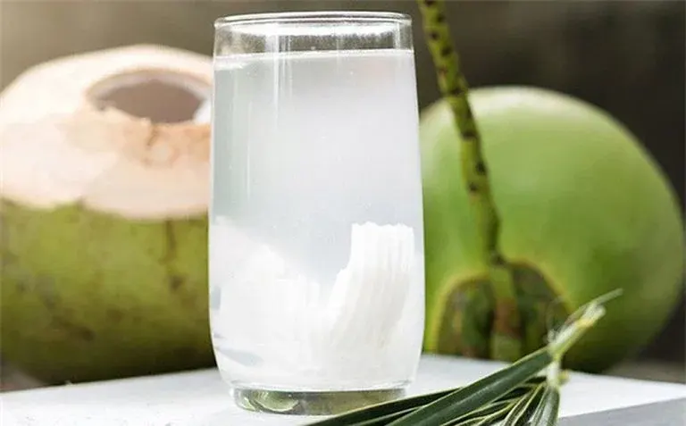 Uống nước dừa thường xuyên có gây loãng máu không?