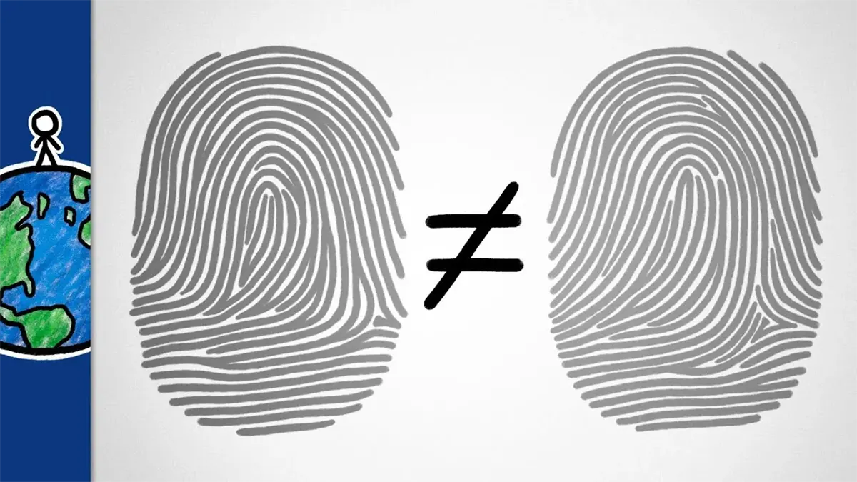 Tại sao trên thế giới, hầu như không có hai người nào có dấu vân tay giống hệt nhau?