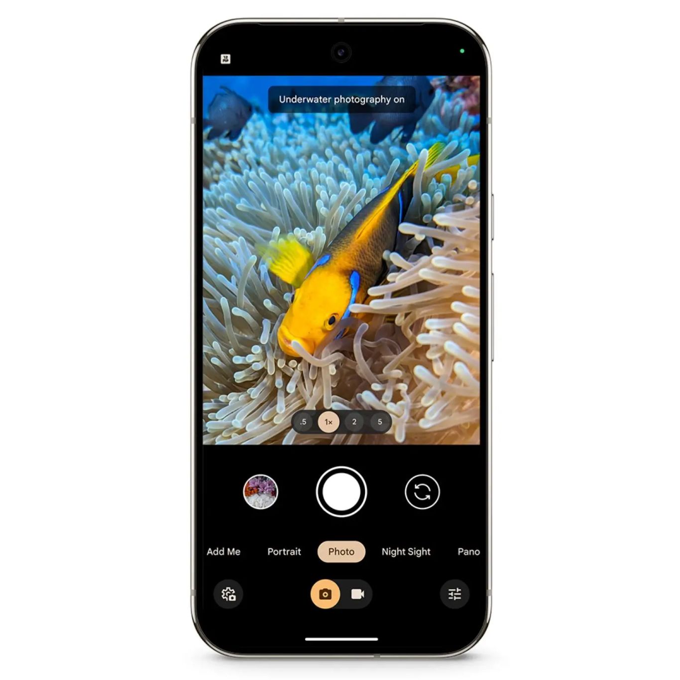 Tính năng chụp ảnh dưới nước trên dòng Google Pixel