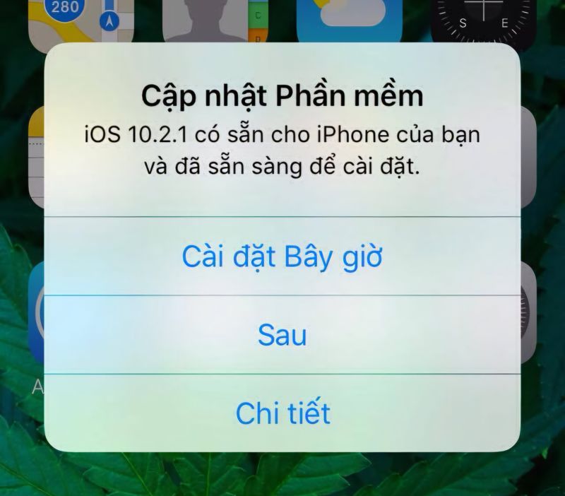 Cách hủy và xóa bản cập nhật iOS khi không cập nhật