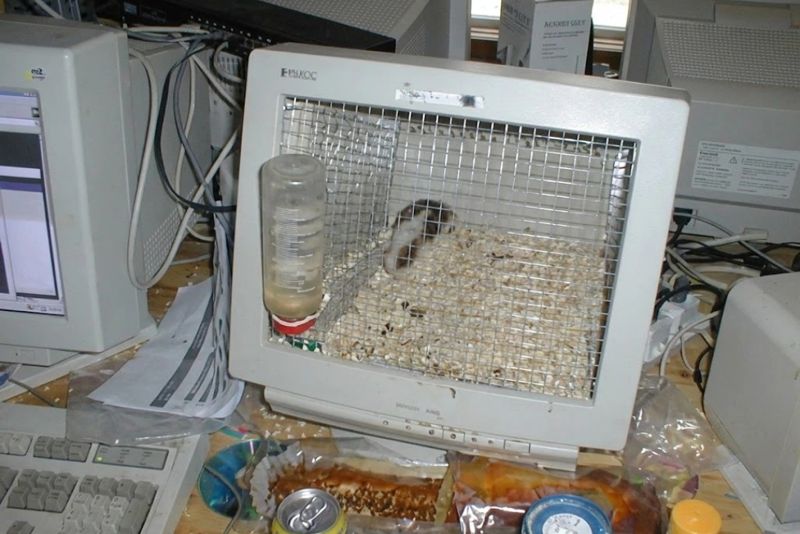 5 ý tưởng tận dụng màn hình máy tính cũ thay vì vứt bỏ - Ảnh 2