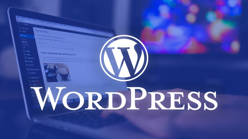 WordPress 6.4.2 vá lỗ hổng bảo mật nghiêm trọng