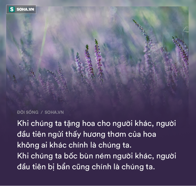 14 câu nói vận vào ai cũng có lúc đúng: Đọc và ngẫm, bạn sẽ được nhiều hơn mất!