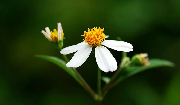 Không có niềm tin vào tương lai